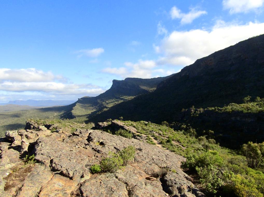 realestatedemands | Enjoy a Scenic Run Through the Park: Go for a scenic run in the park