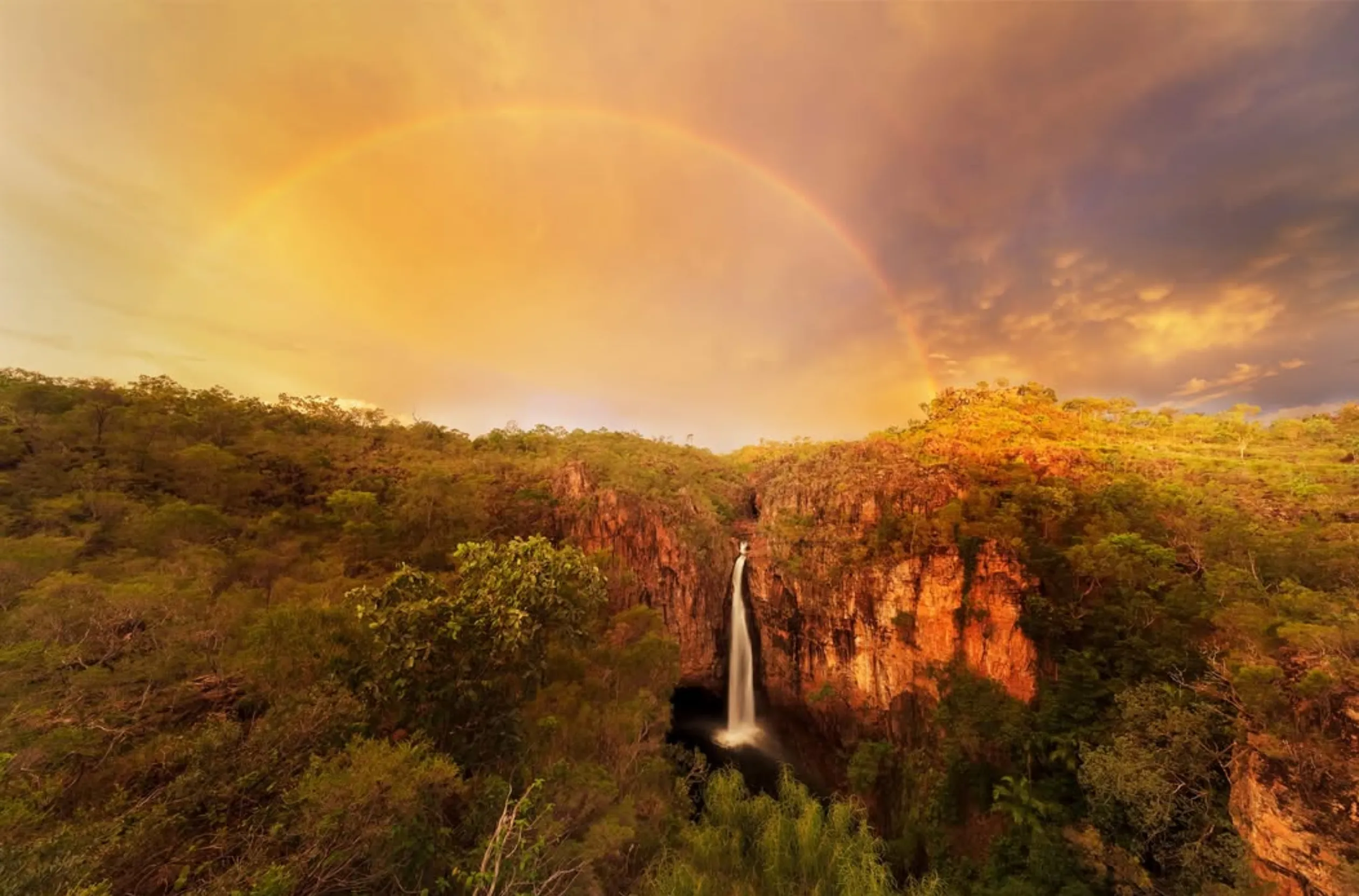realestatedemands | How Much Does a 3-Day Kakadu and Litchfield Tour Cost in 2026?